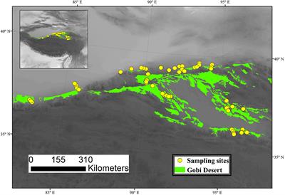 Testing the Functional and Phylogenetic Assembly of Plant Communities in Gobi Deserts of Northern Qinghai–Tibet Plateau